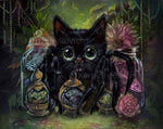 The Collector