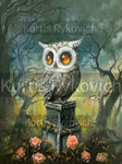 The Watcher